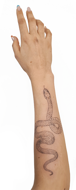 forearm fineline snake tattoo from smasli ink an female tattoo artist working in salzburg austria