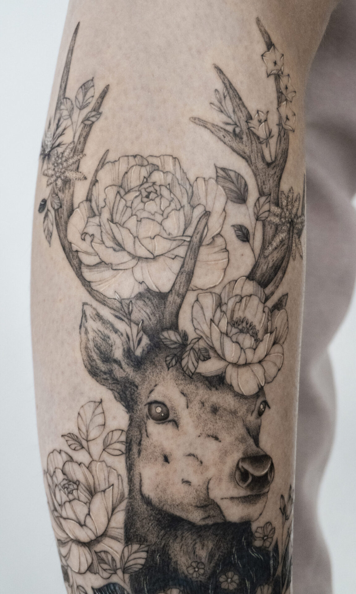 lower leg fineline deer flower tattoo with cover up from smasli ink an female tattoo artist working in salzburg austria