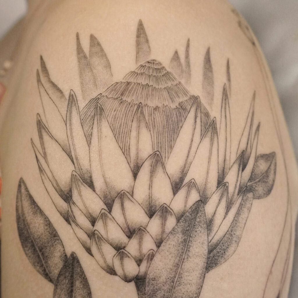 upper arm fineline flower tattoo with protea from smasli ink an female tattoo artist working in salzburg austria