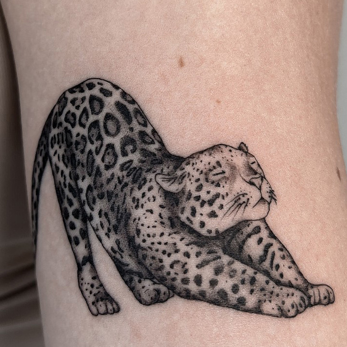 fineline tattoo on forearm with a leopard from smasli ink an female tattoo artist working in salzburg austria